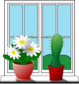 windowsill-155621_640