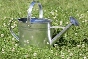 watering-can-397290_1920-400x270-MM-100