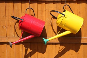 watering-can-848223_640